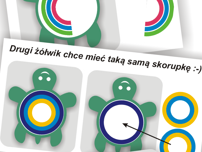 Żółwie trenują funkcje wzrokowe