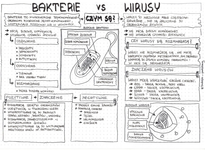 Klasa 5 - Bakterie i wirusy - pakiet