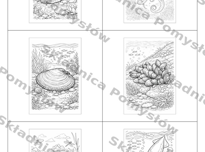 MIĘCZAKI – kolorowanki A4 (6 gatunków) + miniatury - biologia (ślimaki, małże, głowonogi)