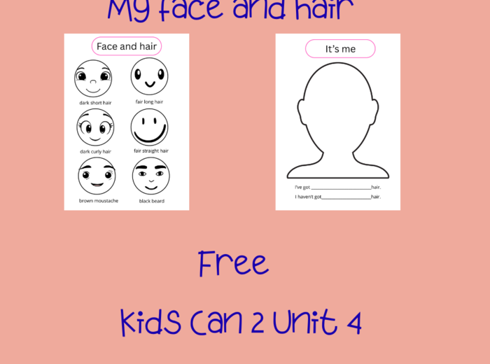 Kids Can 2 Unit 4 Face and hair/karta pracy