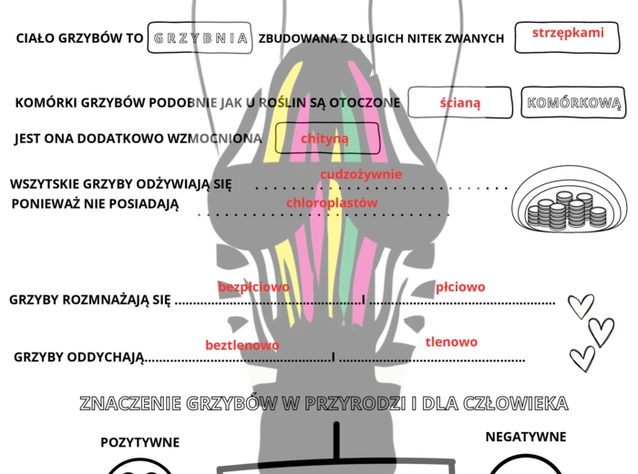 Karta pracy - grzyby