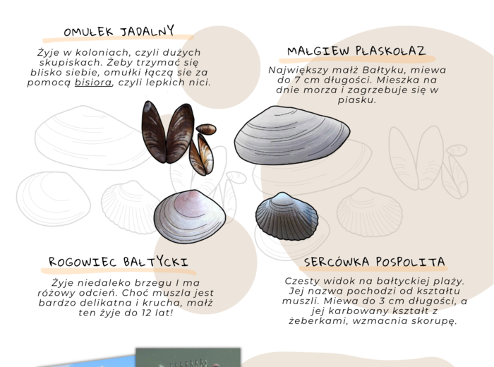 Zrób wyjazd nad morze - o Bałtyku dla dzieci
