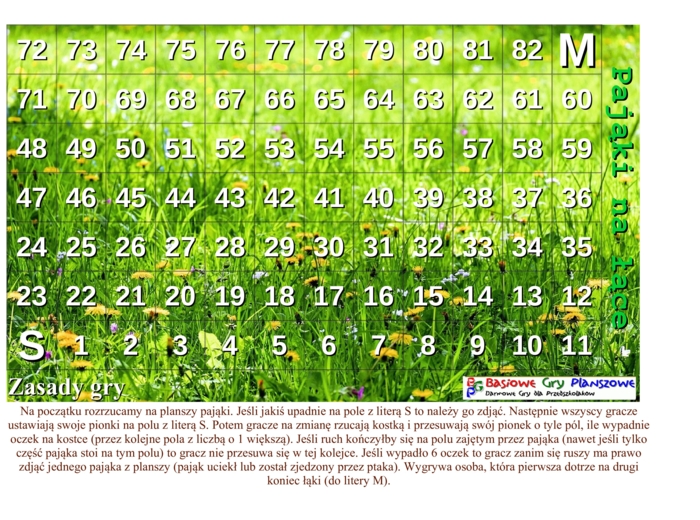 Pająki na łące – Gra planszowa