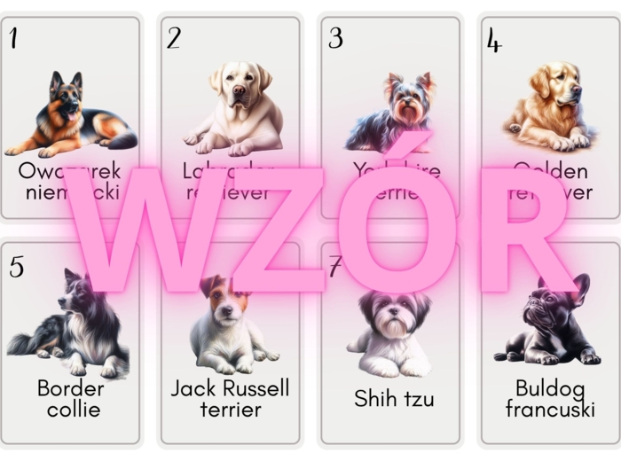 Gra PIOTRUŚ i MEMORY - rasy psów