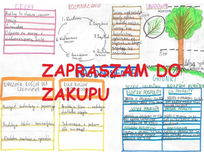 🎄Nagonasienne - podsumowanie 1 strona, notatka wizualna - biologia klasa 5-8