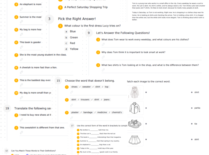 Junior Explorer 5 – Unit 4 – karta pracy