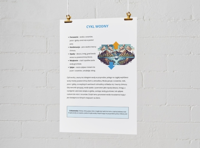 Infografiki. Cykl wodny. Obieg węgla w przyrodzie. Łańcuch pokarmowy
