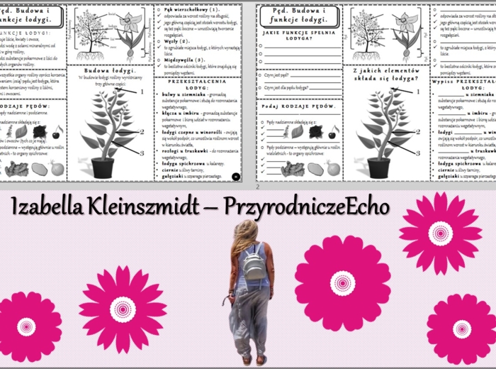 Minizestaw do tematu „Pęd. Budowa i funkcje łodygi” – sketchnotka + karta pracy w pdf + gratisowy link do prezentacji multimedialnej niekomercyjnej wykonanej w genial.ly do indywidualnego pobrania i użycia do celów niekomercyjnych. Biologia 5, Dział „Tka