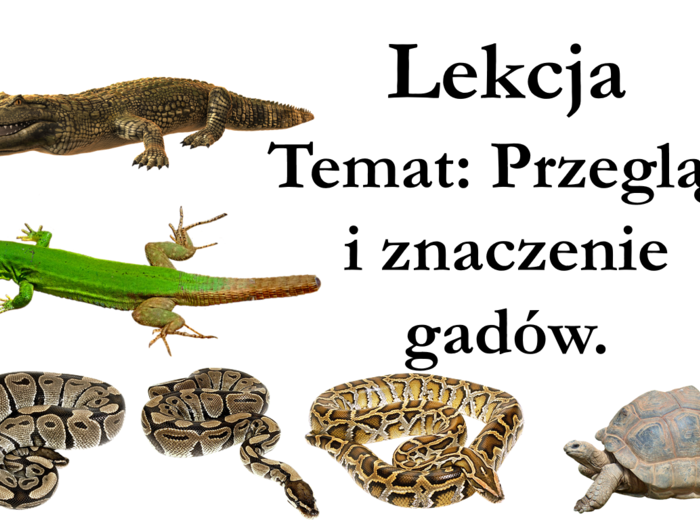 Klasa 6 - Gady przegląd i znaczenie - prezentacja