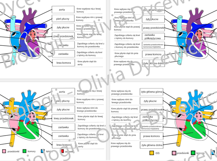 Serce - okienkowa notatka