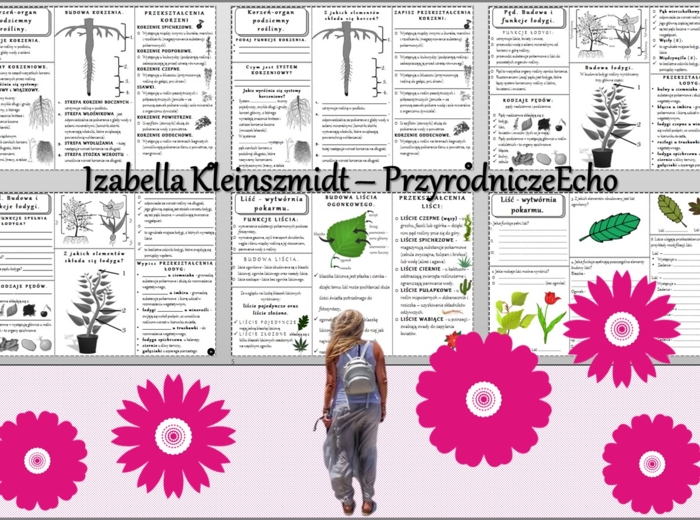 Zestaw sketchnotek/książeczek/notatek/wklejek/ściąg dla ucznia i przypomnień dla nauczyciela/edukacja domowa w pdf do całego działu. Biologia 5, dział „Tkanki i organy roslinne”. Nowość 2024/2025.