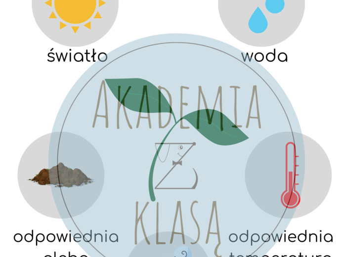 CZEGO POTRZEBUJĄ DO ŻYCIA ROŚLINY? - plansza edukacyjna i karty pracy dla ucznia