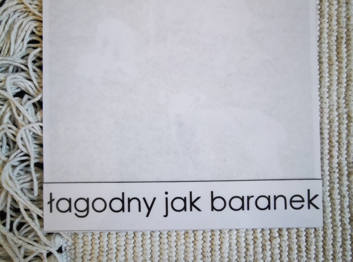 Zwierzęta - porównania - MDJO - bajki - karty montessori