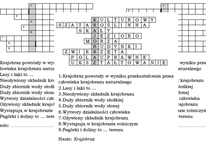 Logogryf na podsumowanie lekcji przyrody o rodzajach krajobrazu