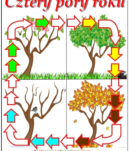 4 Pory roku – Gra planszowa