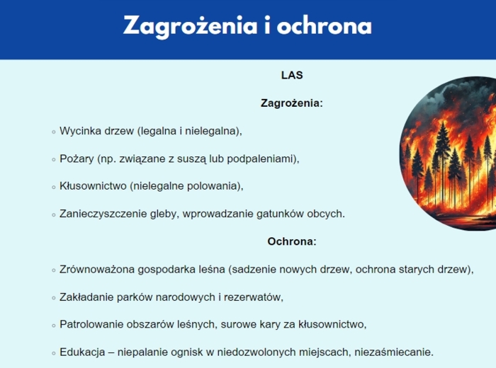 Prezentacja multimedialna. Różne ekosystemy (las, jezioro, góry). Zależności między organizmami