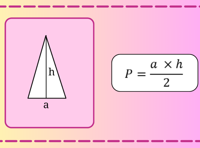 Fiszki - Pola figur - Wzory