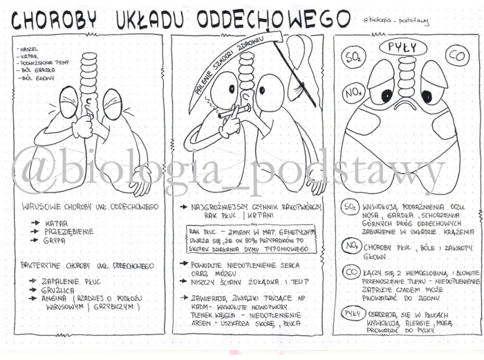 Klasa 7 - Choroby układu oddechowego