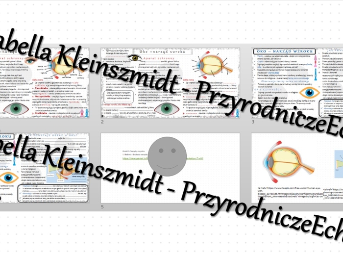 Minizestaw na temat „Budowa i działanie narządu wzroku” – sketchnotka + karta pracy w power point + gratisowy link do prezentacji multimedialnej niekomercyjnej wykonanej w genial.ly do indywidualnego pobrania i użycia do celów niekomercyjnych. Biologia 7