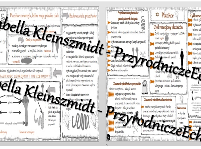 Sketchnotka - notatka „Płazińce – zwierzęta, które mają płaskie ciało” wykonana w power point do edycji. Biologia 6; „Od parzydełkowców do pierścienic”
