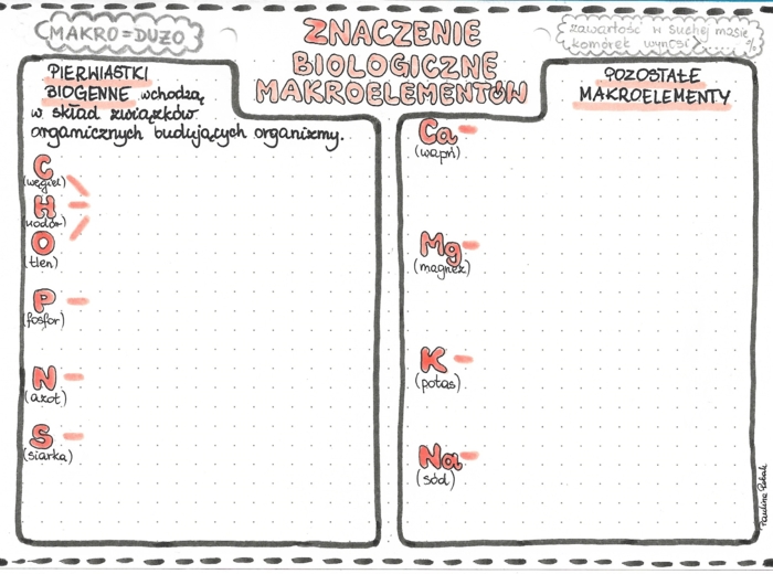 Makroelementy - znaczenie biologiczne