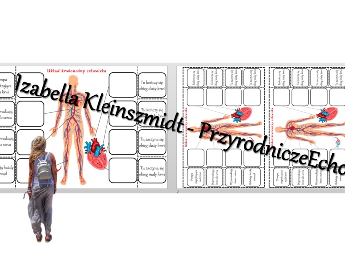 Notatka okienkowa „Budowa układu krwionośnego”. Przyroda 4 / Biologia 7. „Układ krwionośny”