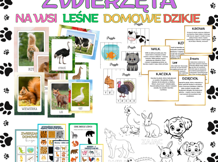 ZWIERZĘTA - NA WSI, W LESIE, DOMOWE, DZIKIE