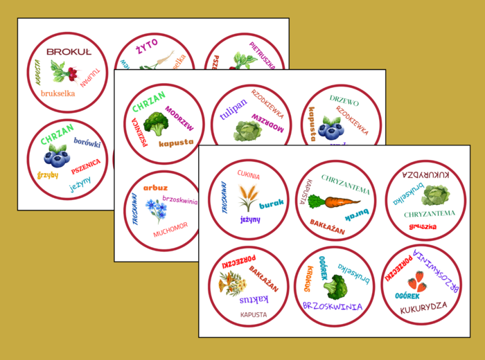 DOOBLE – rośliny – ORTOGRAFIA – 30 szt.