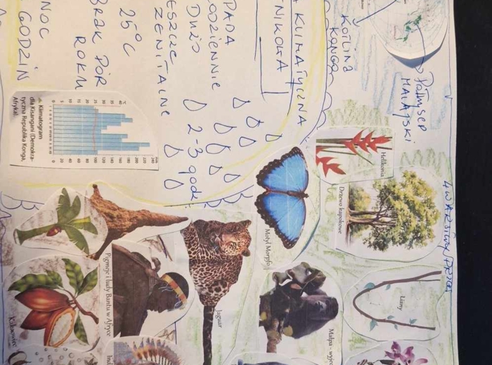 Materiał do wycięcia/wycinanka do notatki „W wilgotnym lesie równikowym i w lasach liściastych i mieszanych” w pdf. Geografia 5, dział „Krajobrazy świata”.