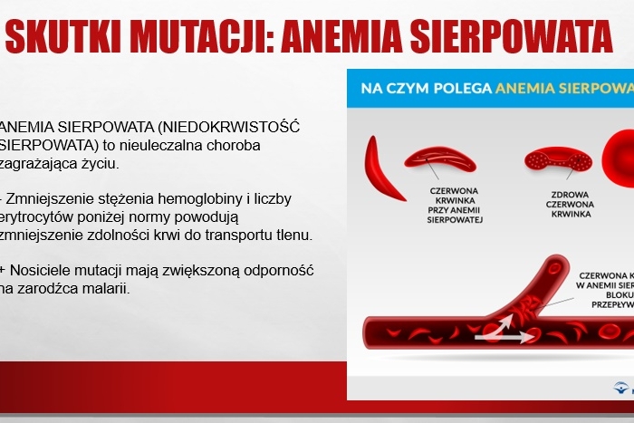 Mutacje (prezentacja multimedialna)