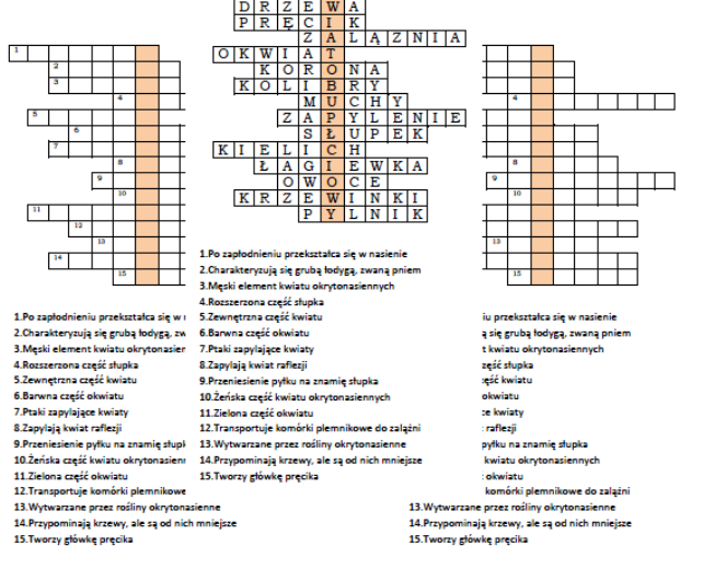 Logogryf na podsumowanie lekcji biologii o okrytonasiennych