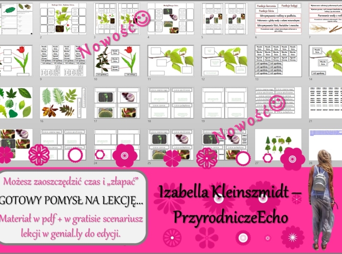 Pomysł na lekcję/karta pracy/stacje zadaniowe/materiał do lekcji do tematu „Liść – wytwórnia pokarmu” w pdf. W gratisie niekomercyjny scenariusz lekcji/pomysł na lekcję w programie genial.ly do edycji. Biologia 5. Dział „Tkanki i organy roślinne”.