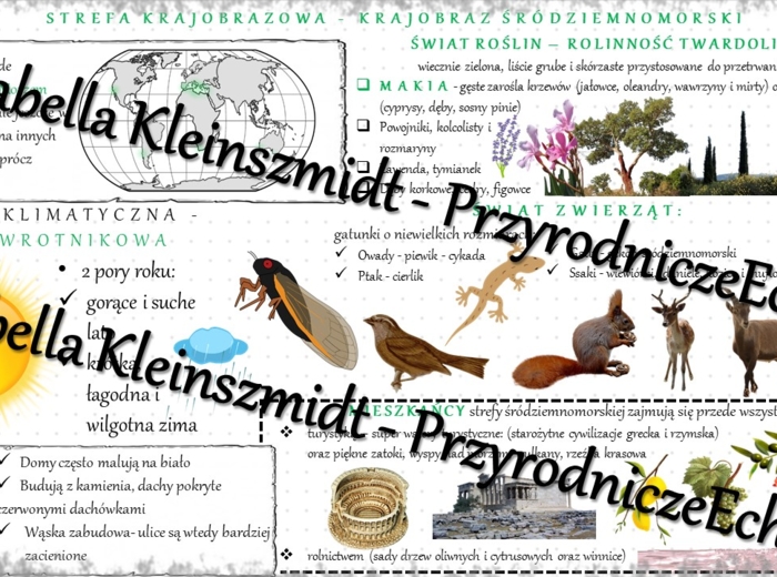 Sketchnotka - notatka „Krajobraz śródziemnomorski” wykonana w power point do edycji. Geografia 5; „Krajobrazy świata”