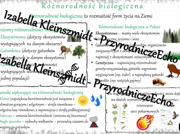 Sketchnotka - notatka „Różnorodność biologiczna” wykonana w power point do edycji. Biologia 8; „Człowiek i środowisko”