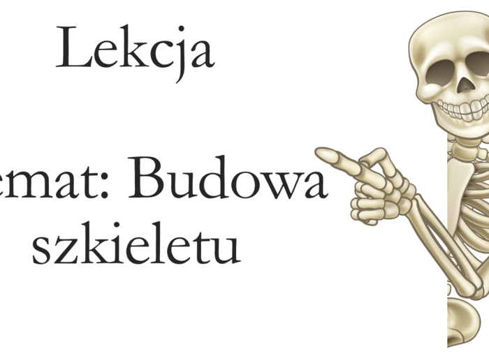 Klasa 7 - Budowa szkieletu - prezentacja
