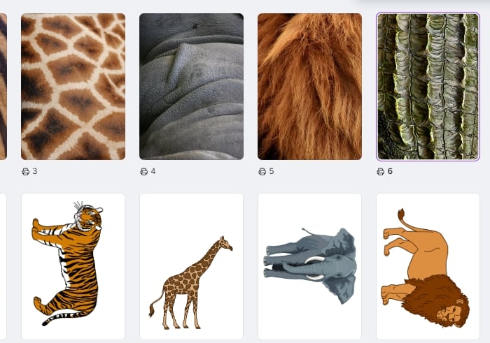 Zwierzęta egzotyczne i ich futerka