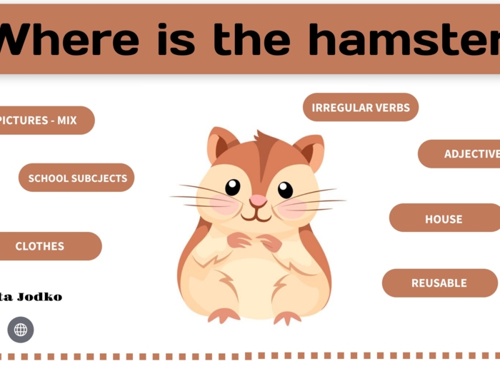 Where is the hamster?