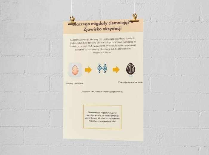 Dlaczego migdały ciemnieją? Infografika. Proces oksydacji. Chemiczny proces brązowienia. Jak temu zapobiegać?