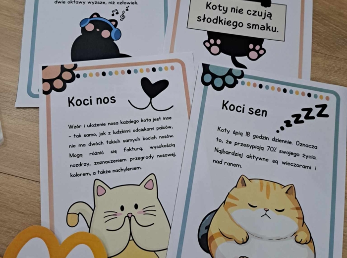 Karty pracy dzień kota + ciekawostki