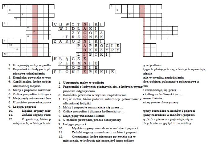Logogryf - wprowadzenie do tematu nagonasienne - biologia kl. 5