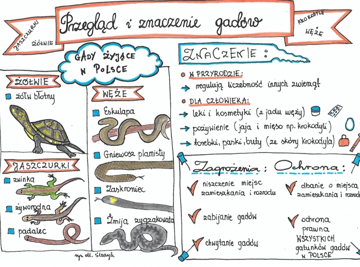Klasa 6. Biologia. Przegląd i znaczenie gadów