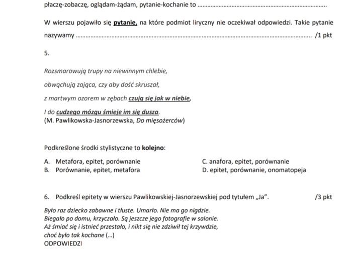 Poezja i środki stylistyczne - sprawdzian