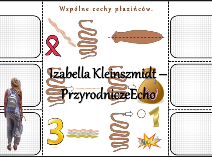 Notatka okienkowa/stacja zadaniowe/notatka interaktywna/notatka graficzna/karta pracy/sketchnotka „Płazińce”, „Płazińce - zwierzęta, które mają płaskie ciała” w pdf. Biologia 6 , dział „Od parzydełkowców do pierścienic”. Materiał wykonany na podstawie po