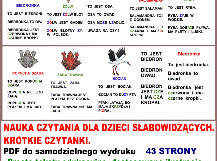 NAUKA CZYTANIA DLA DZIECI SŁABOWIDZĄCYCH. KRÓTKIE CZYTANKI.