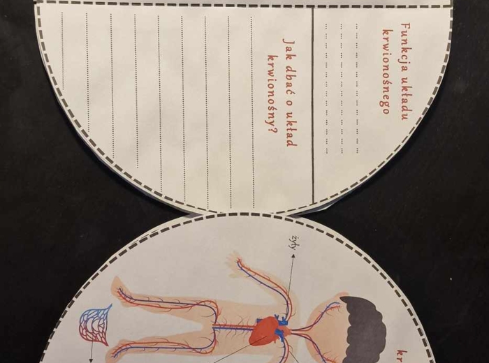 Karty pracy i sketchnotki do wykonania okrągłej książeczki. Układu narządów człowieka. Przyroda 4, „Odkrywamy tajemnice ciała człowieka”.