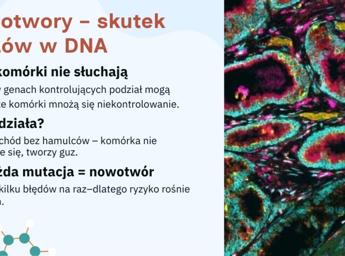 Mutacje - Jak zmiany w DNA wpływają na życie
