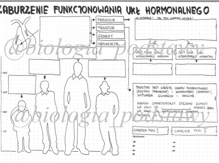 klasa 7 - Zaburzenia funkcjonowania układu hormonalnego - kp