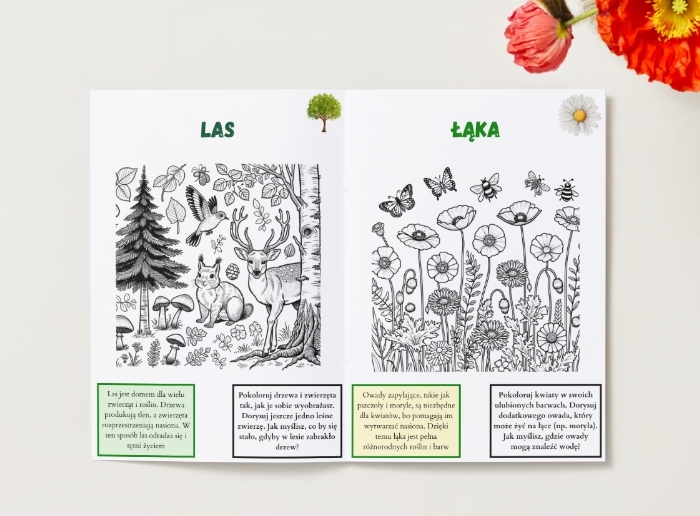 Kolorowanki tematyczne. Zwierzęta. Rośliny. Ekosystemy