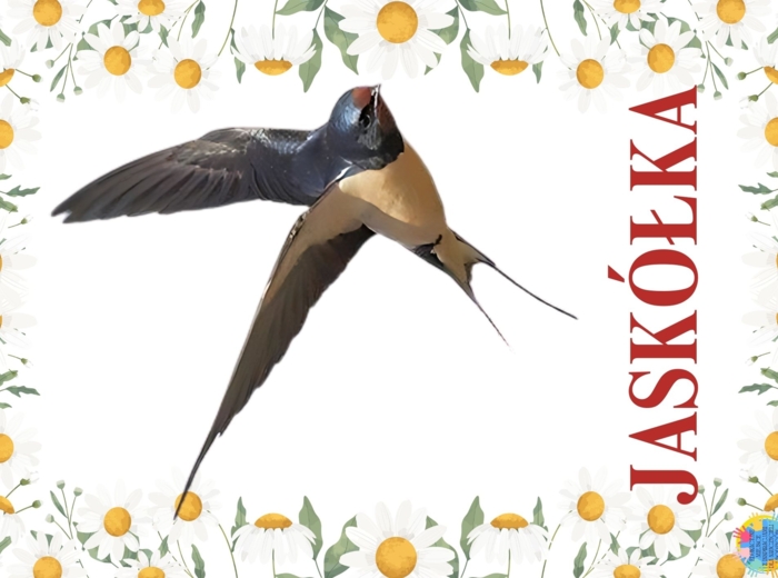 DZIEŃ PTAKÓW - EDUKACYJNA PRZYGODA DLA DZIECI