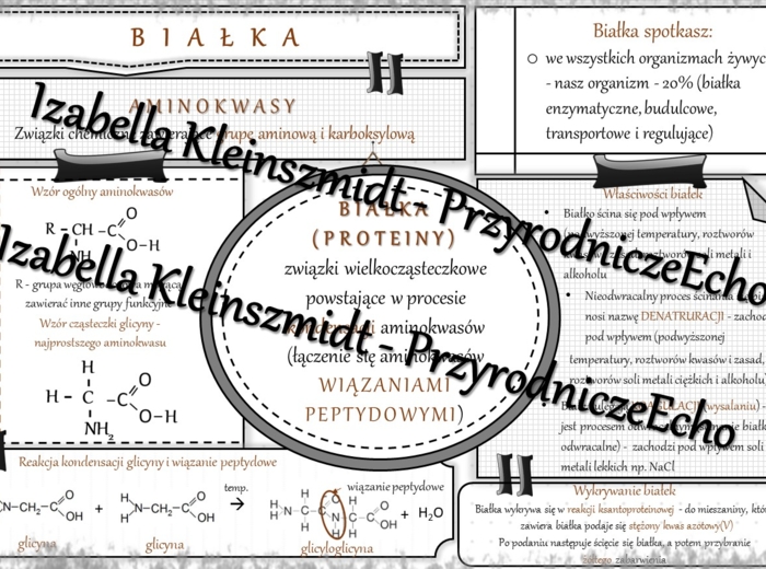 Sketchnotka - notatka „Białka” wykonana w power point do edycji. Chemia 8, „Biologia i chemia”